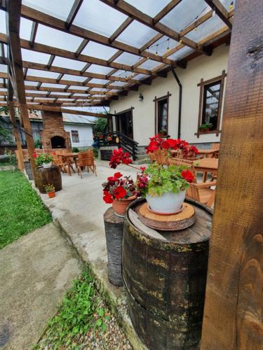 Gura Teghii Bed & Breakfast | Magic Rooms
