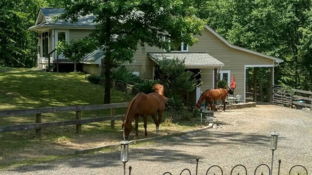 Marshall House | Magical Unicorn Hollow/Wineries/Great Meadows EventsnFully furnished apartment