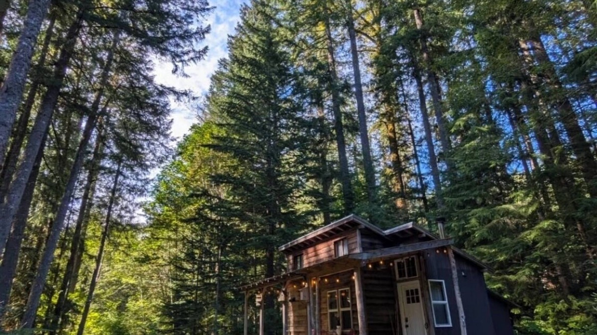 Ashford Cabin | Magical Woodland Retreat just 8 miles from Mount Rainier national Park!