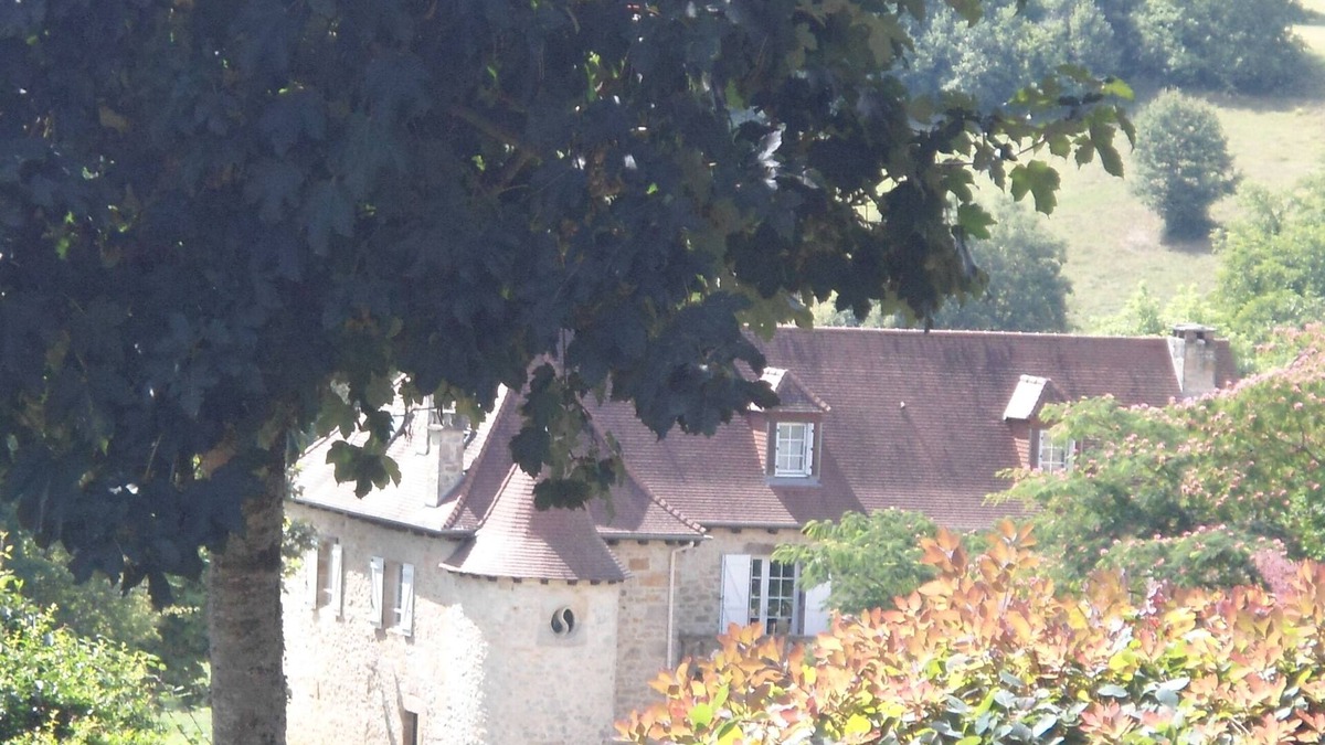 Queyssac-les-Vignes House | Magnificent mansion with large swimming pool on the outskirts of Périgord!