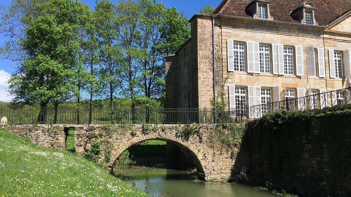 Villegusien-le-Lac House | Magnificent castle with swimming pool, park, between Champagne and Burgundy