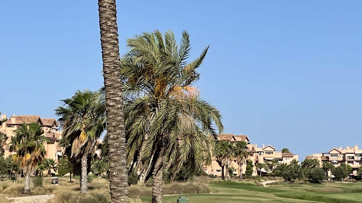 Los Martinez Apartment | Magnifique Appartment EN REZ DE Chaussee 4 A 6 Personnes Golf Resort MAR Menor
