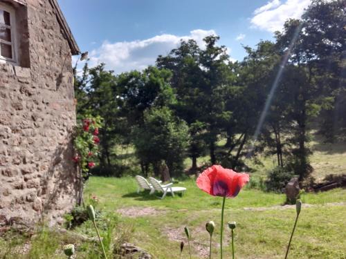 Doyet House | Magnifique Moulin au bord d'une riviere, calme absolu, piano