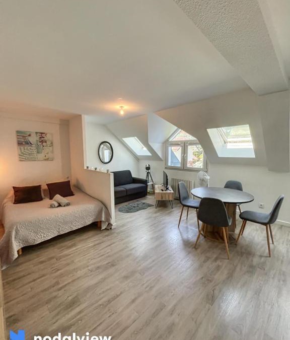 Annecy Apartment | Magnifique T1 Bis triangle d or - Parking - WIFI