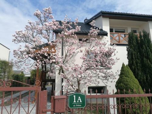 gmina Sobolew House | Magnolia