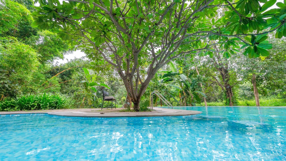 Turiya Hotel | Mahua Vann Pench