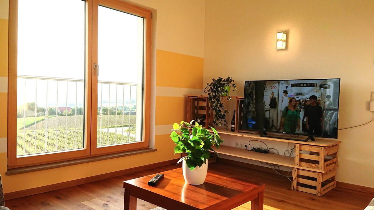 Kitzingen Apartment | Main vacation in the vineyard