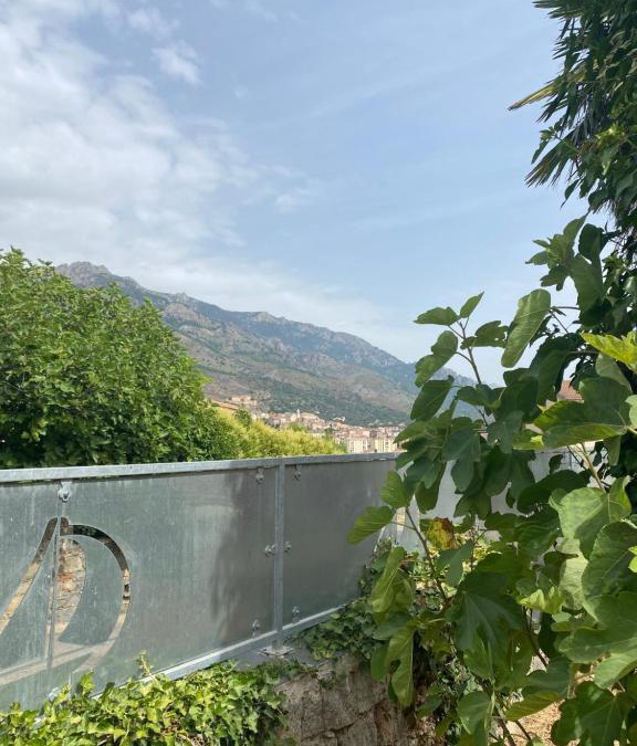 Corte House | Maison à Corte (Centre Corse) avec piscine et jardin