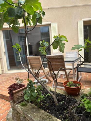 Bourgoin-Jallieu House | Maison 6 ch avec jacuzzi, PROMO AUTOMNE 2025