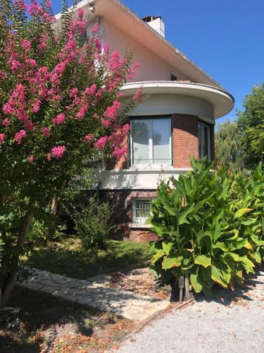 Labouheyre House | Maison Art Deco-5 suites, piscine, clim, parking