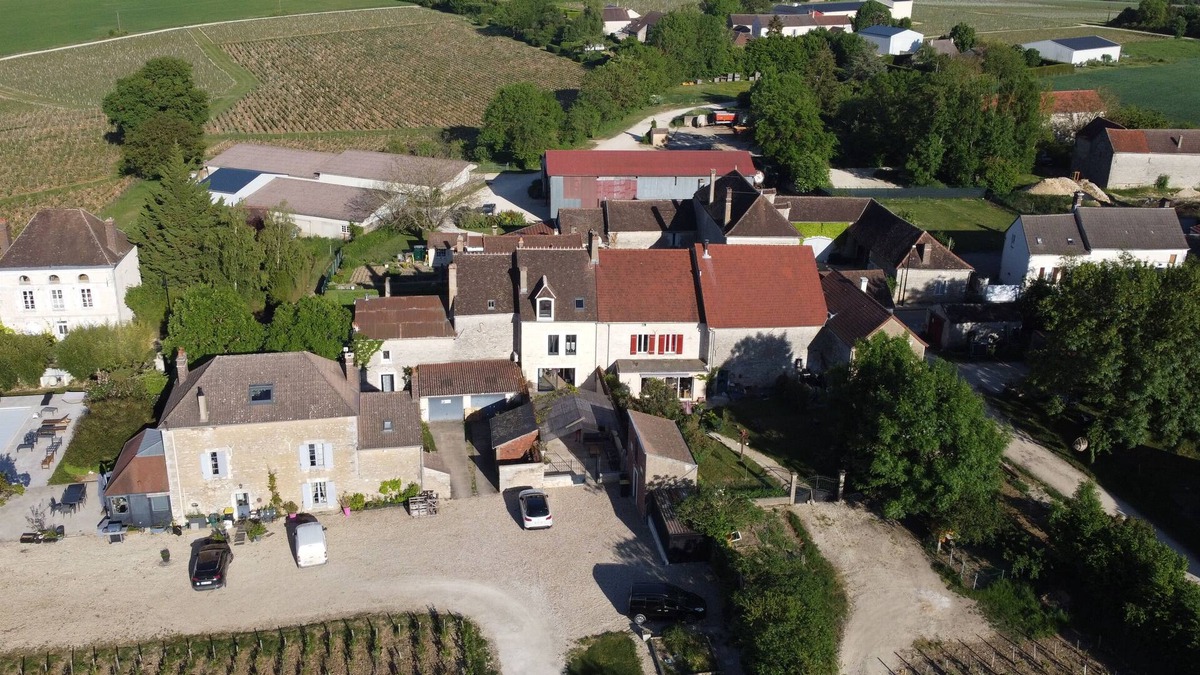 Prehy House | Maison au coeur du vignoble