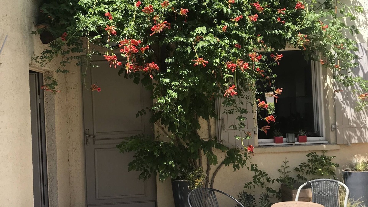 Nord House | Maison Avec Jardin à 3 Minutes du Centre Historique D'aix en Provence
