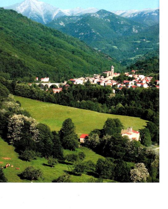 Prats-de-Mollo-la-Preste Apartment | Maison Baxter