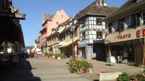 Saverne Apartment | Maison Bleue