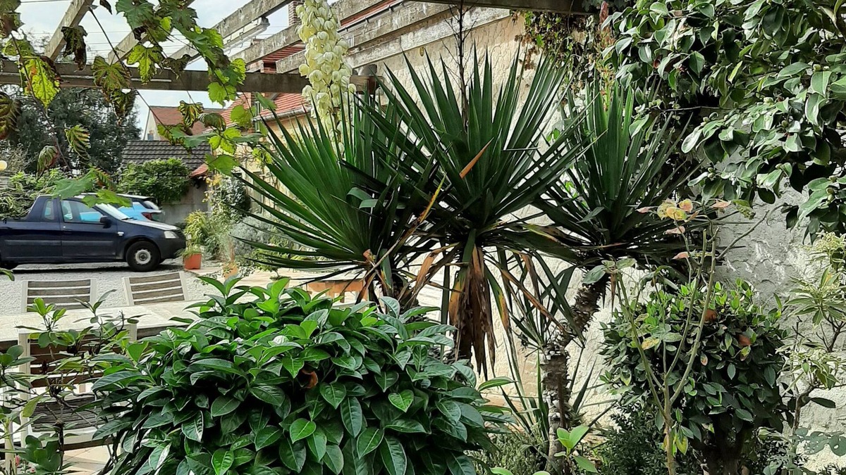 Germigny-des-Pres Bed & Breakfast | Maison Cerviña