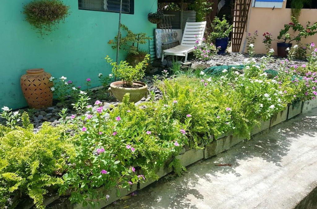 Fond Lahaye House | Maison Charmante, Schoelcher, Terrasse