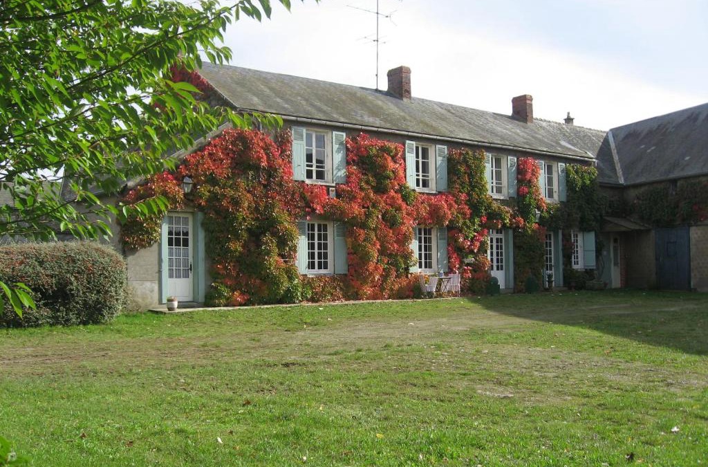 Boisseaux House | Maison d'époque avec sauna, jacuzzi et salle de jeux à 1h de Paris - Idéale familles/amateurs de stages - FR-1-590-4