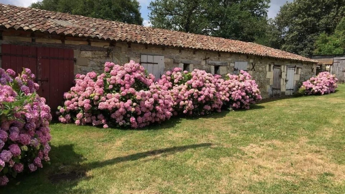 Dienne House | Maison de Campagne - 4ch - Poitiers/Dienné