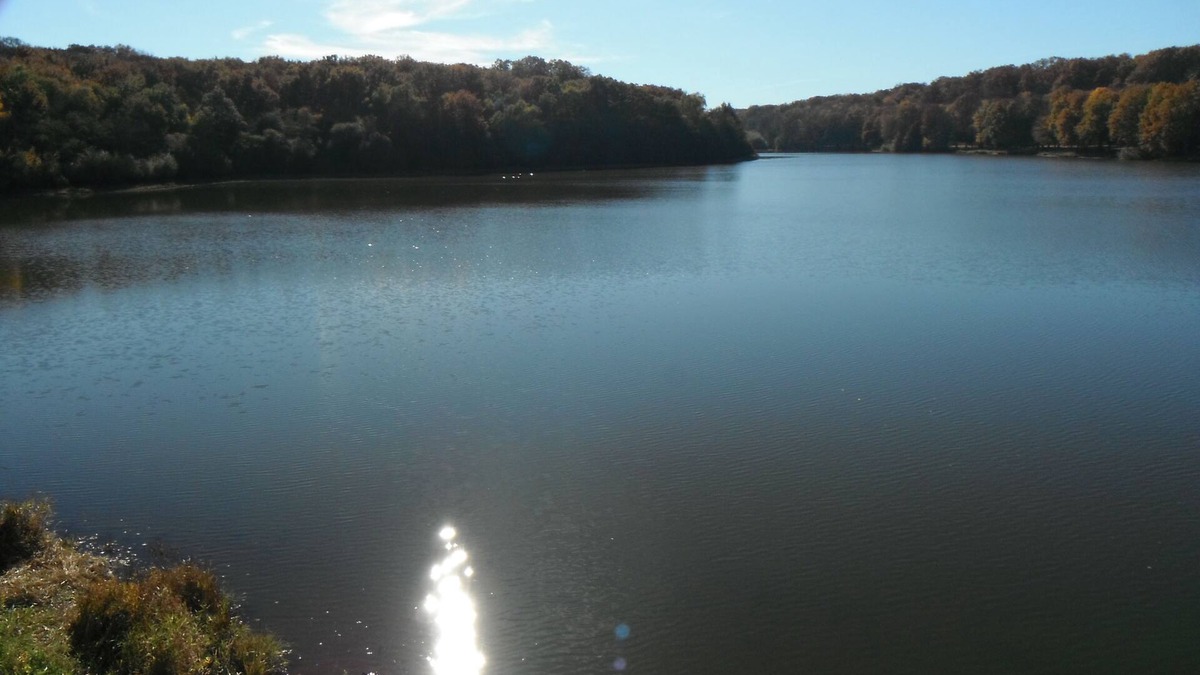 Saint-Bonnet-Troncais Apartment | Maison de L`ETANG in the heart of large oak Forest of Troncais. Allier.