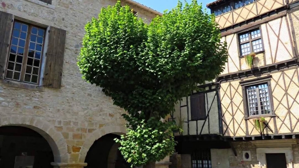 Alet-les-Bains House | MAISON DE NOSTRADAMUS* OCCITANIE INSOLITE