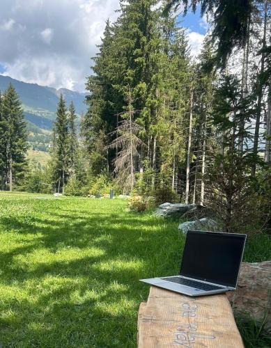 Antagnod Apartment | Maison Du Coeur Champoluc - Spa, Gym e aree relax