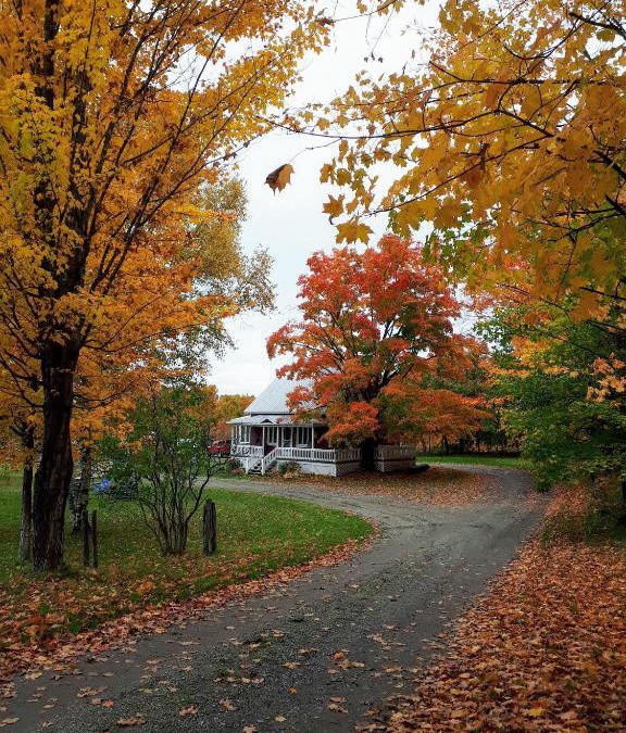 Saint-Philemon House | Maison Du Vieux Chemin