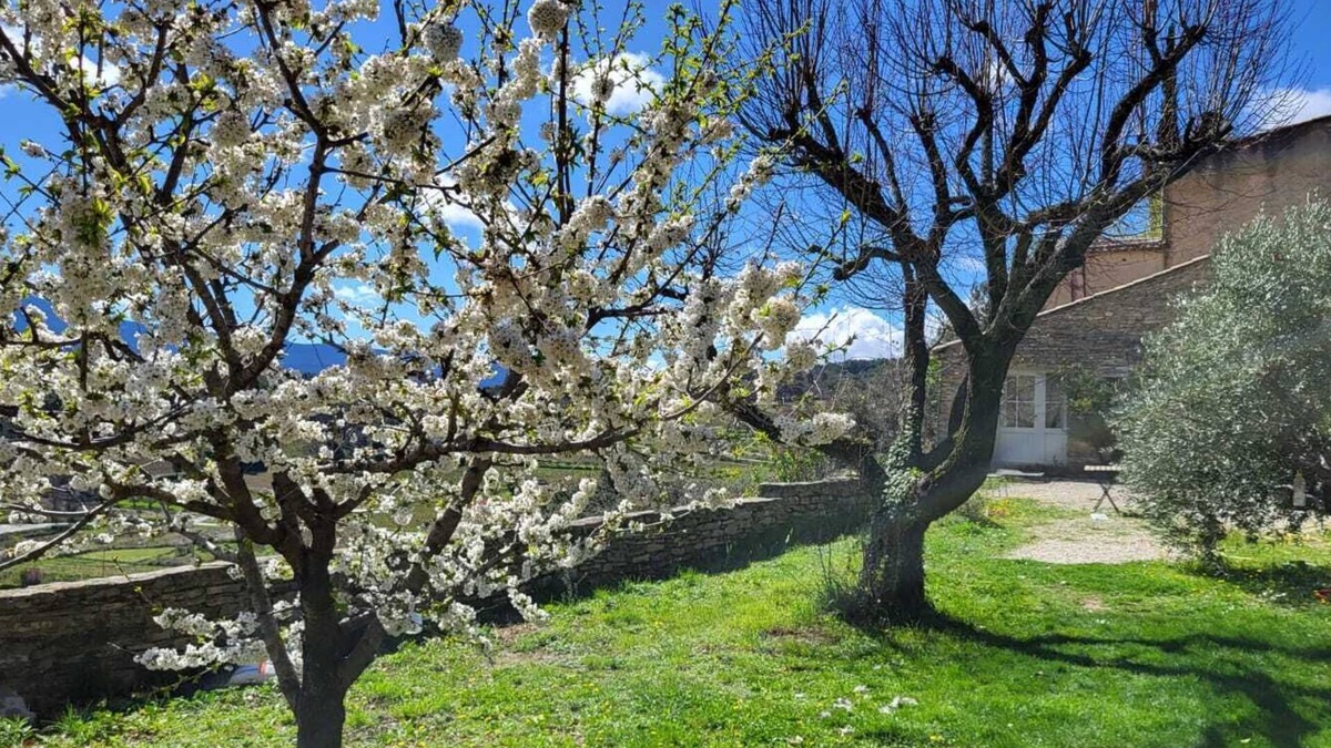 Faucon House | Maison en Provence Avec Jardin Arboré et vue sur le Mont Ventoux