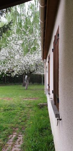 Nogent-sur-Vernisson House | Maison entre relooking et modernité dans un cadre verdoyant pour amoureux de grands espaces