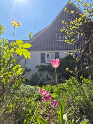 Genkingen House | Maison Fuchs - Fantastisches ehemaliges Bauernhaus mit Garten, WiFi und BBQ