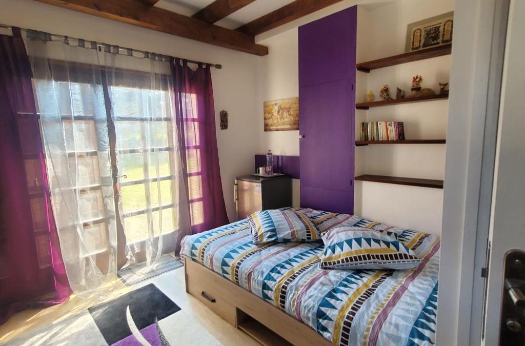 Thonon-les-Bains House | Maison Le Lézard chez Amalia et Fred