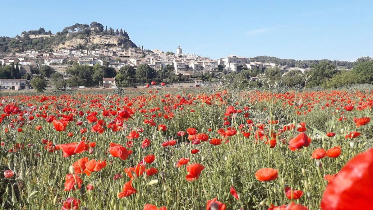 Cadenet House | Maison Lumineuse Avec Jardin - Sud Luberon