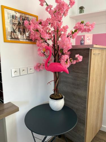 Tille House | maison pink flamingo aeroport tillé 2 a 4 personnes