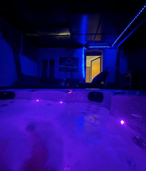 Le Fief-Sauvin House | Maison spa relaxing