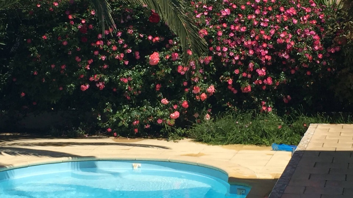 Saint-Cyprien Plage House | MAISON VILLA tous cft * 6 à 12 pers piscine ch à 300 m des plages lagons