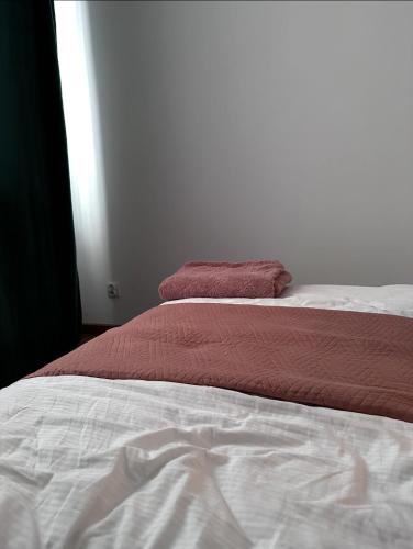 Biala Podlaska Apartment | Majeczka