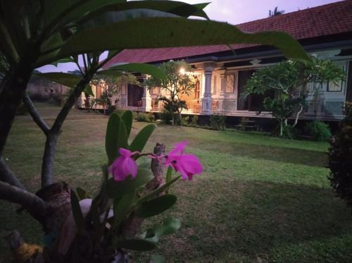Pejeng Kawan Hotel | Majestic Heaven Retreat