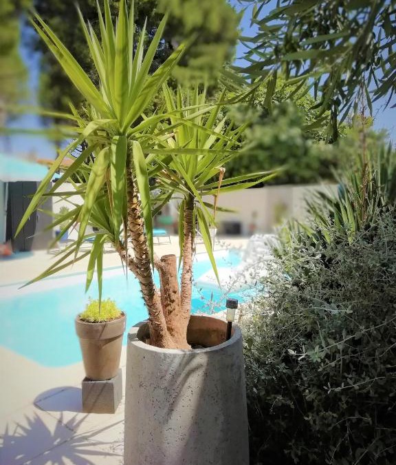 Boujan-sur-Libron Apartment | Majopau