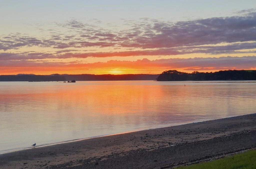 Te Tii Apartment | Makuri Bay Hideaway