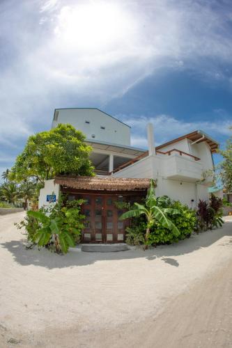 Dhiffushi Bed & Breakfast | Maldivine Stay Dhiffushi
