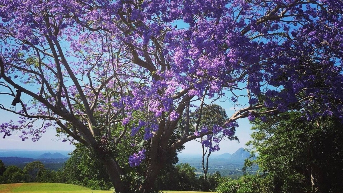 Maleny House | Maleny - 3 bedroom house with Outstanding Sunshine Coast Hinterland Views