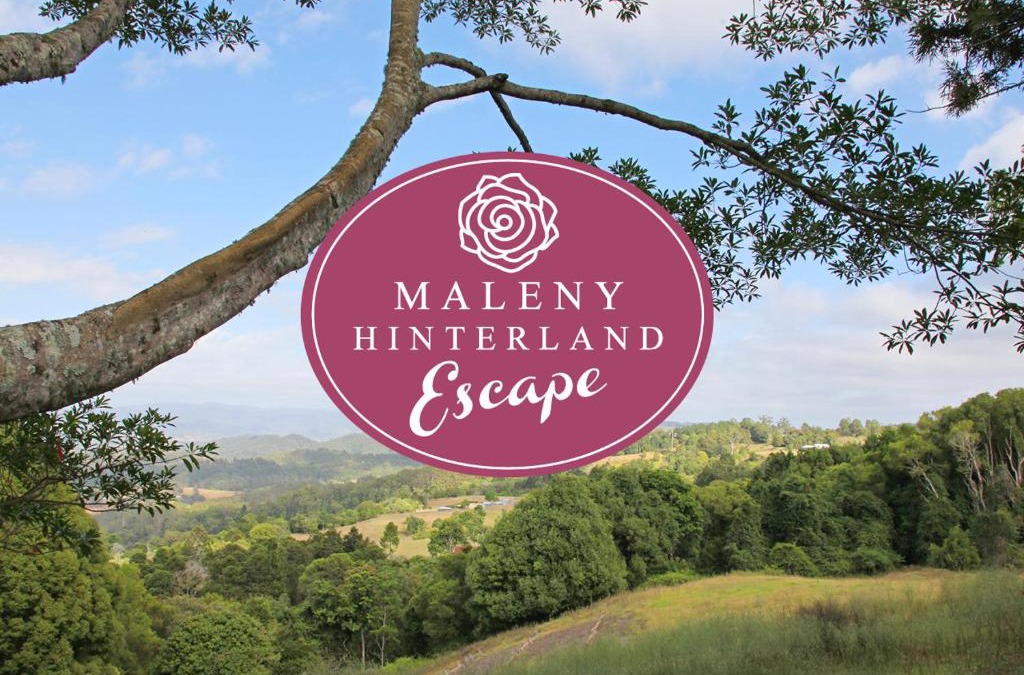 Witta Apartment | Maleny Hinterland Escape