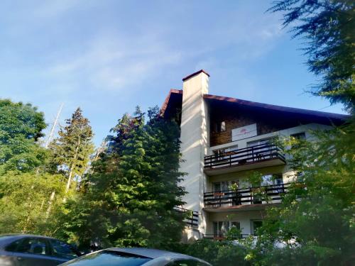 Karpacz Bed & Breakfast | Malinowy Domek
