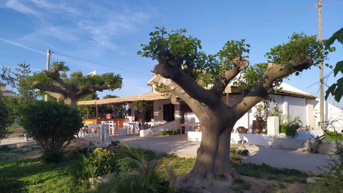 Marsala Villa | MammaCollette Rent Rooms and Home Restaurant, Bar, Kite, Massages,