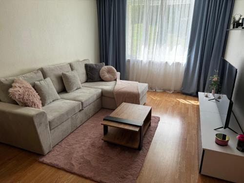 Polva County Apartment | Mammaste Apartment