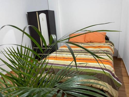 Los Olivos Apartment | Mamo Apartment