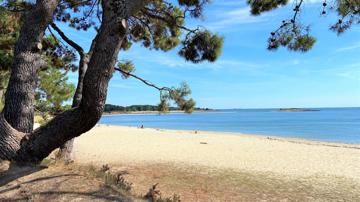La Trinite-sur-Mer Ski Chalet | MANÉ CHEUIL - Small holiday home in La Trinité-sur-Mer, Morbihan - D4
