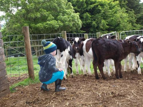 Buln Buln Bed & Breakfast | Manderley Park Farmstay B&B