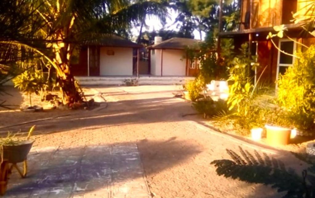 Sanyang Bed & Breakfast | MANGROVE BEACH
