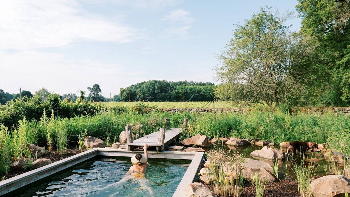 Blaison-Gohier Bed & Breakfast | Manoir de Jouralem