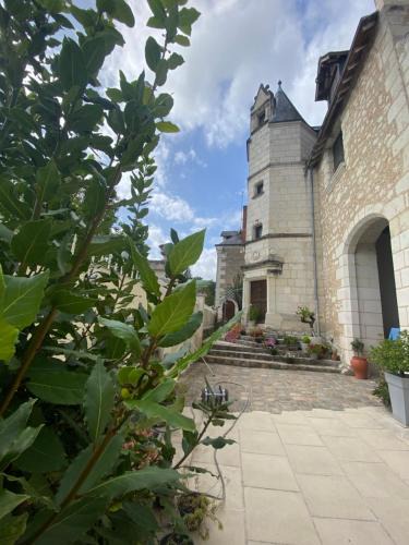 Bourre House | Manoir des Roches 41